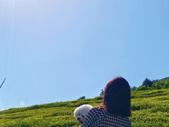 -东白山