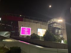 -大鲁阁保龄球(苏州园区店)