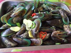 灼海岛野生青口-邹记·美食(斗门店)