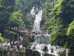 -鼎湖山风景区
