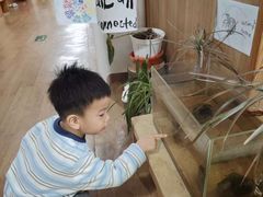 -世纪飞马幼儿园(西城校区)