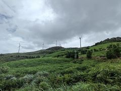 -东白山