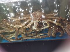 -蟹之国·精品蟹料理(极地店)