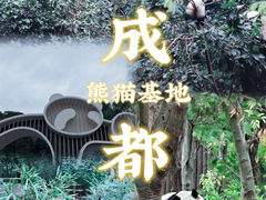 -成都大熊猫繁育研究基地