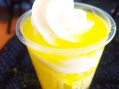 -萨朗刀克冰淇淋雪花凉(植物园店)