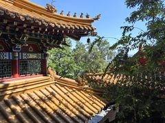 -高尔山公园