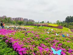 -天府芙蓉园