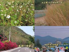 -小桂湾