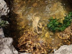 -綱元·海鲜豆捞(明州里店)