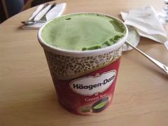 -哈根达斯(西安高新店)