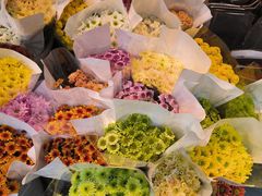 -循礼门鲜花花市(武汉循礼门店)