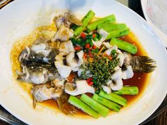 鲜花椒蒸鱼-猪肉婆私房菜(容桂总店)