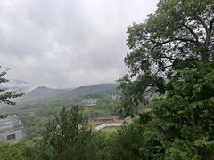 -菉雅苑·湛江菜(前海卓越INTOWN店)