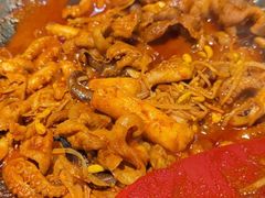 -红辣椒八爪鱼特色韩国料理