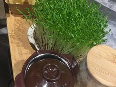 -好彩猪肚鸡(正弘城店)