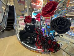 -红星美凯龙北京至尊MALL(东四环中路店)