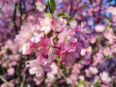 -九里河湿地公园