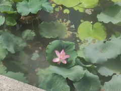-厦门园林博览苑