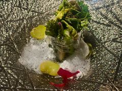 -地球美食剧场