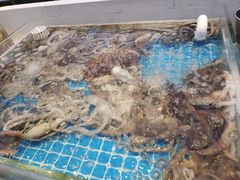 -集品鲜湾·蒸汽海鲜自助料理(青岛银座和谐广场店)