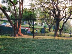 -香港赛马会双鱼河会所