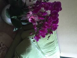 点击看大图 iphone_upload_pic-Union瑜伽健康管理中心