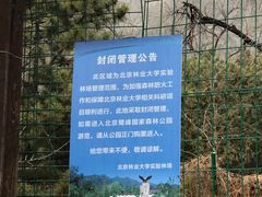 -北京鹫峰国家森林公园