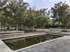 -长田漾湿地公园