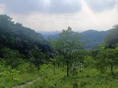 -广州市白云山风景名胜区