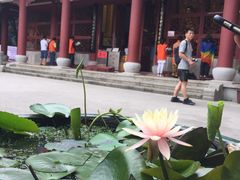 -白云山风景名胜区
