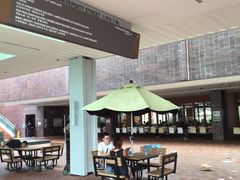 -香港大学