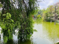 -人民公园(罗湖区)