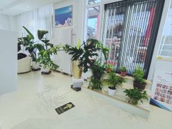 -黎蓓露·徒手骨雕蛋白抗衰·调肤管理