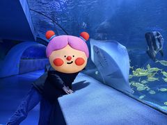 -太平洋海底世界