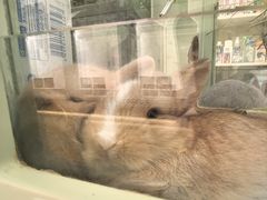 -龙猫仔乐园(惠福东路店)