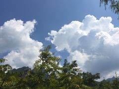-云岫谷自然风景区