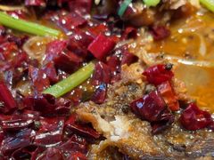 -老板恋上鱼(恒隆广场店)