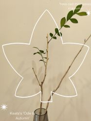 -FUMEIHUI·科技美肤·美体SPA