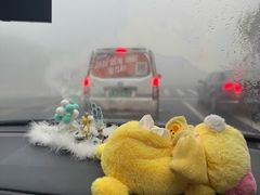 -上海市同济医院-停车场