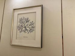 -茜尔维亚修身连锁(杨浦五角场店)