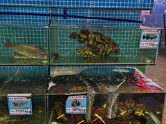 水产区-范饭椰林川湘味海鲜·椰子鸡(三亚湾椰梦长廊店)