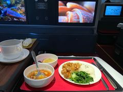 -海南海航航空信息系统公司