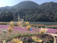 -广州市石门国家森林公园