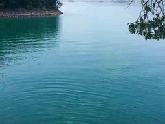 -鱼乐岛餐厅·户外花园主题餐厅