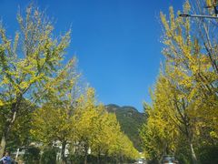 -五泄景区