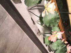 -一品渝香干锅鸭头(平安店)