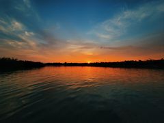 -春花秋色城市公园