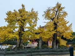 -圆通寺