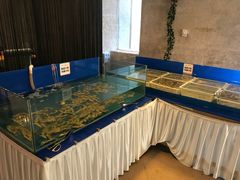 水产区-富虹国际海鲜自助餐
