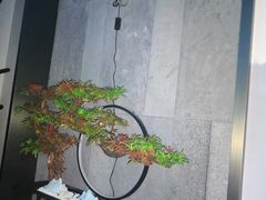 -39°·叁十九度·浴足SPA(龙湖滨江天街总店)